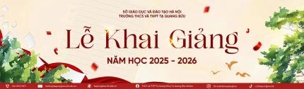 hinhanh