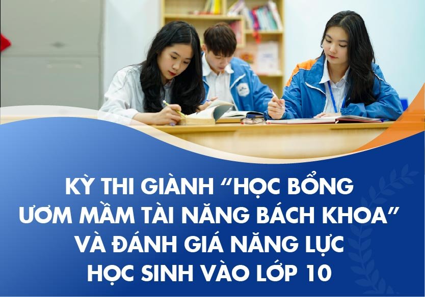 hinhanh
