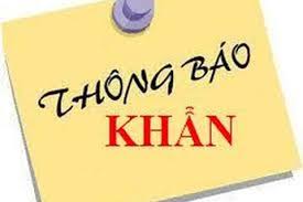 hinhanh